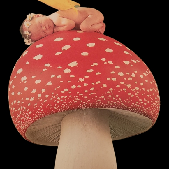 Anne Geddes "Down in the Garden" Big Coffee Table Book - Picture 5 of 16